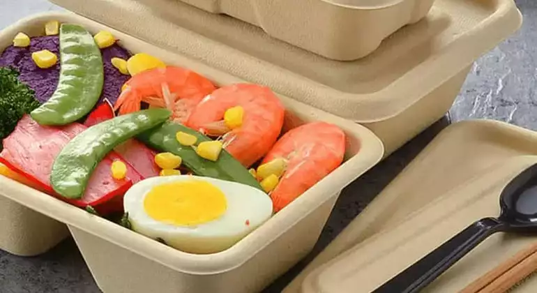 Biodegradable Paper Lunch Box Food Container Packaging